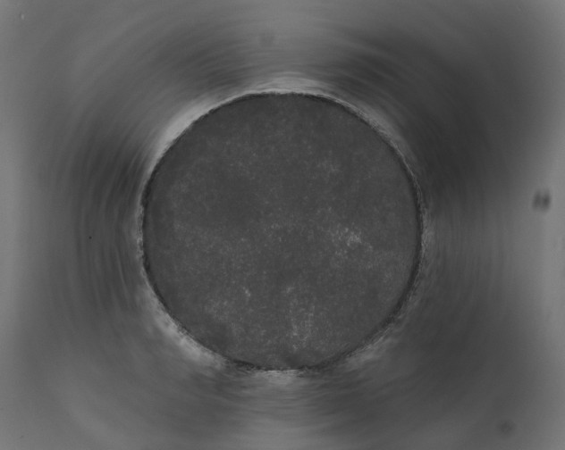 X0000111520990200907281334