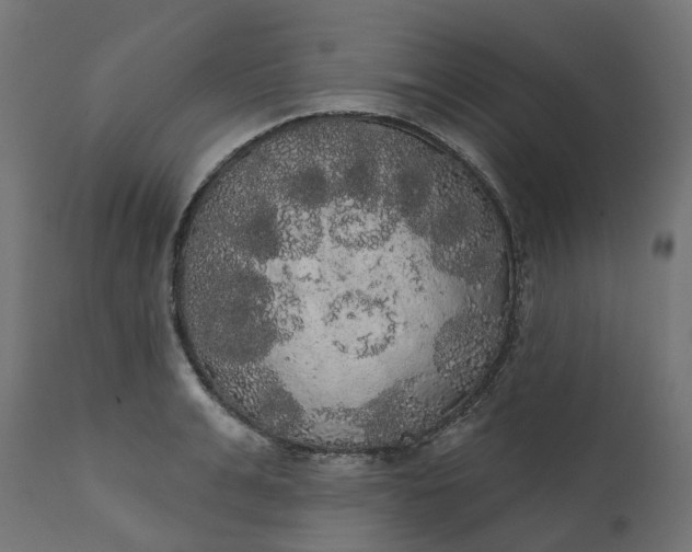 X0000111520991200907281334