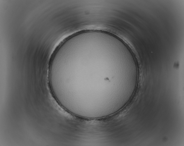 X0000111520992200907281334