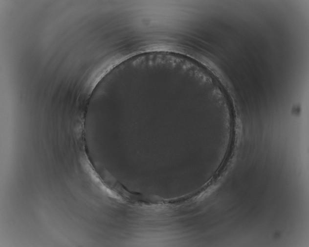 X0000111520993200907281334