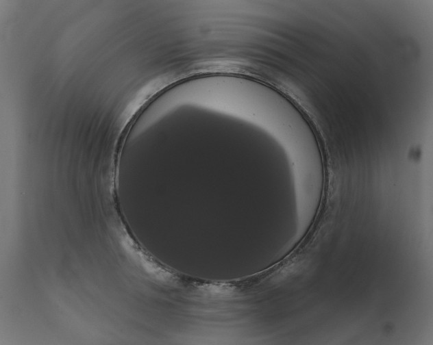 X0000111520994200907281334
