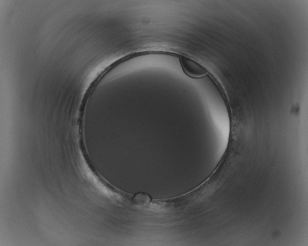 X0000111520995200907281334