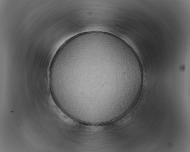 X0000111520996200907281334