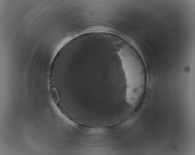 X0000111520997200907281334