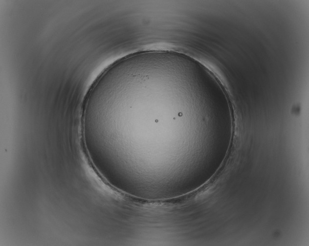 X0000111521000200907281334