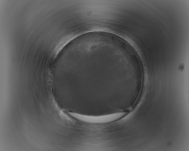 X0000111521001200907281334