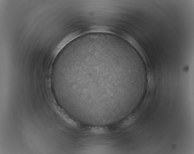 X0000111521002200907281334