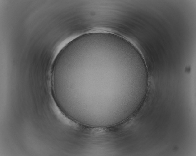 X0000111521003200907281334