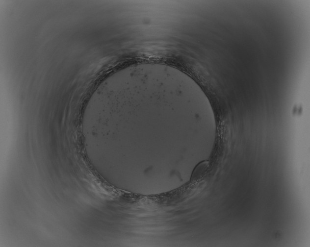 X0000111521009200907281333