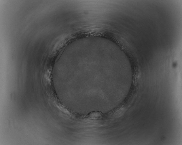 X0000111521010200907281333
