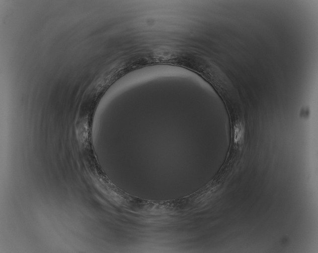 X0000111521011200907281333