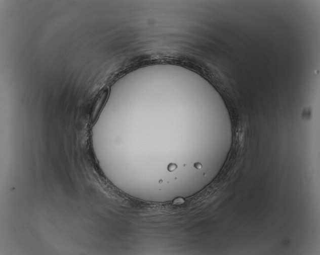 X0000111521012200907281333