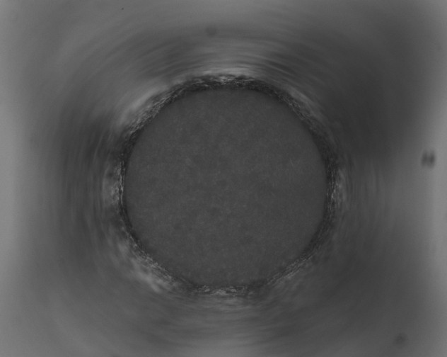 X0000111521014200907281333