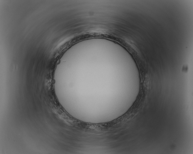 X0000111521015200907281333