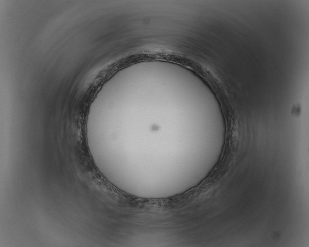 X0000111521016200907281333
