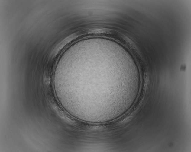 X0000111521017200907281333