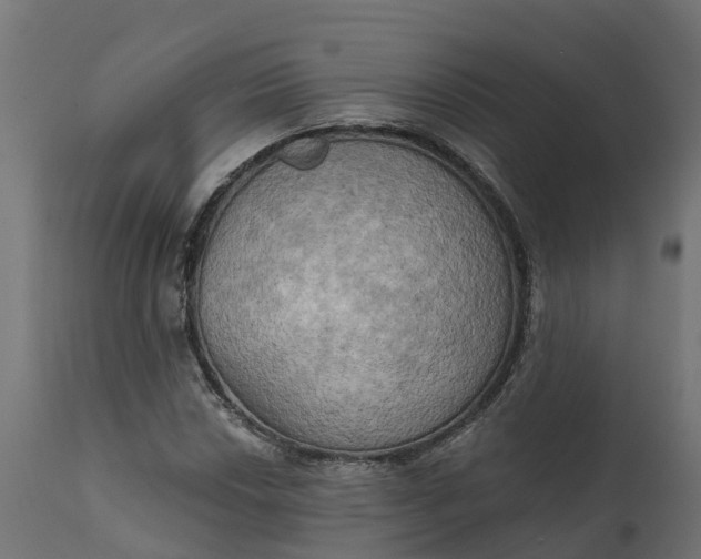 X0000111521018200907281333