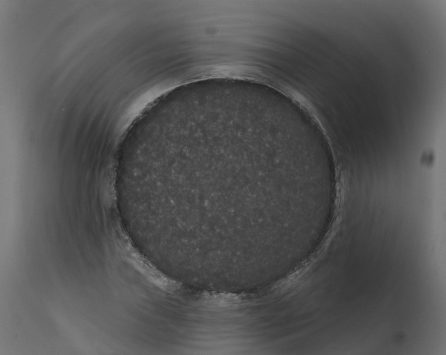 X0000111521019200907281333