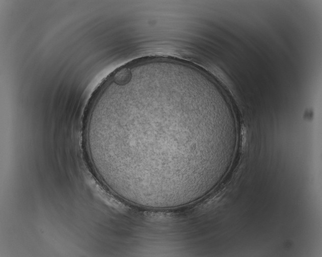 X0000111521020200907281333