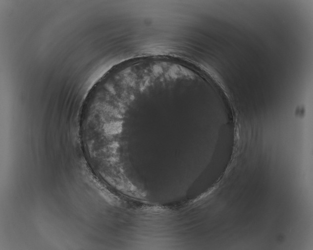 X0000111521023200907281333