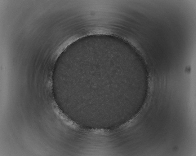 X0000111521025200907281333