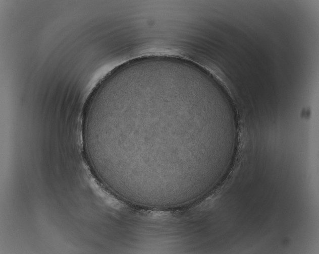 X0000111521030200907281333