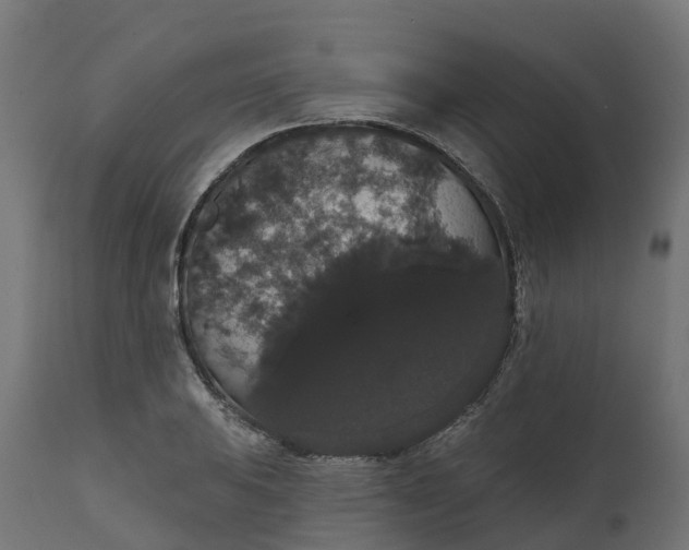 X0000111521031200907281333