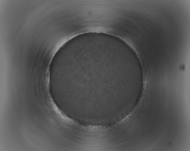 X0000111521032200907281333