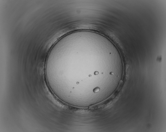 X0000111521033200907281333