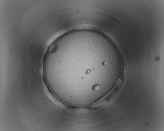 X0000111521034200907281333