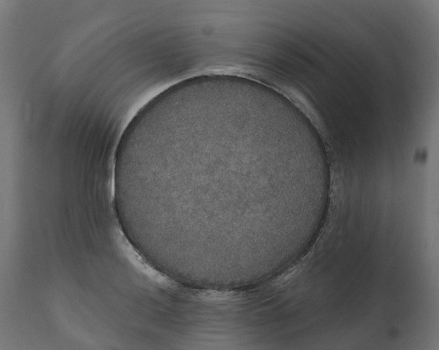 X0000111521036200907281333