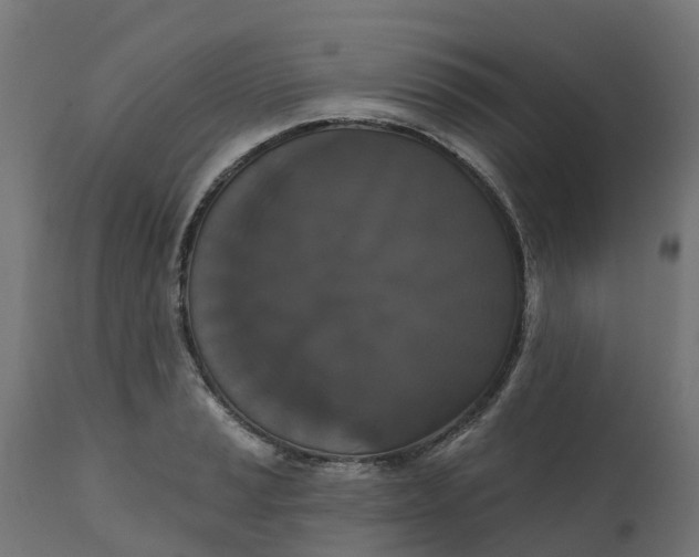 X0000111521037200907281333