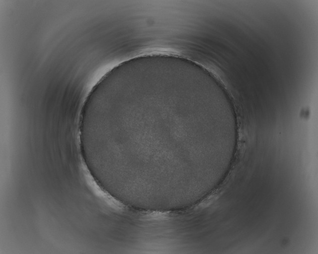 X0000111521038200907281333