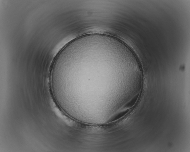 X0000111521042200907281333