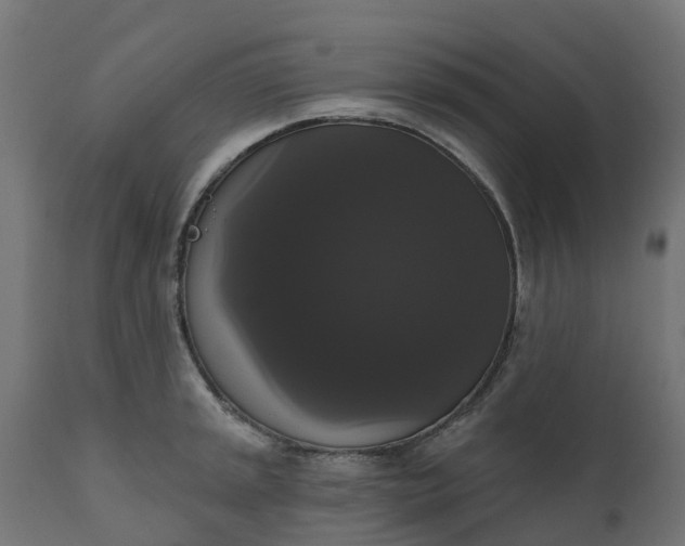 X0000111521045200907281334