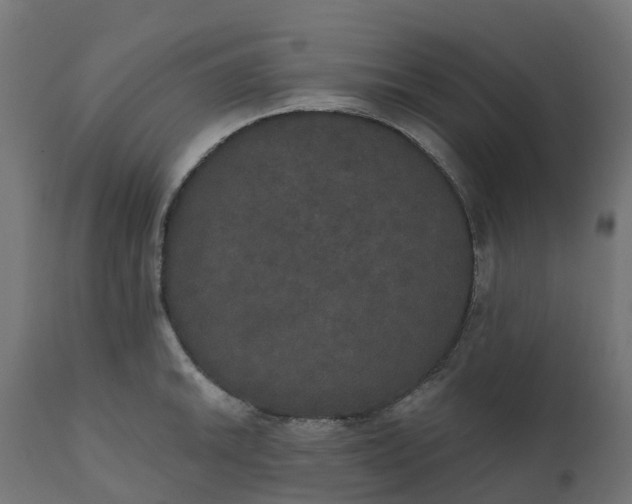 X0000111521046200907281334