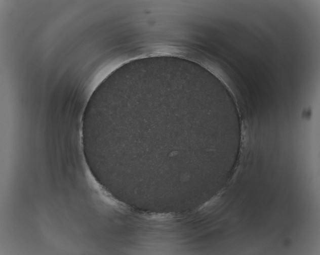 X0000111521047200907281334