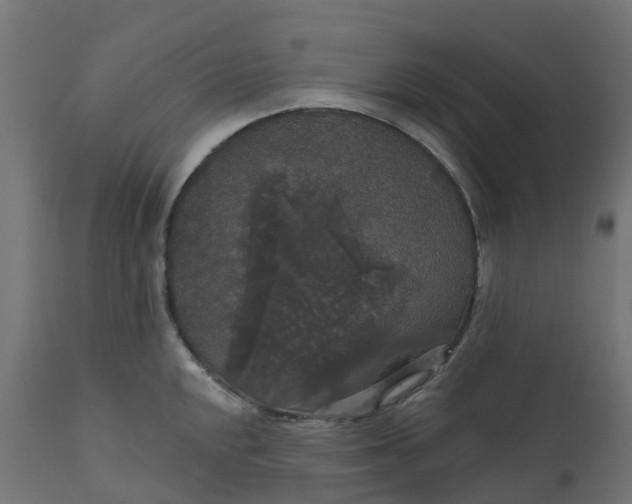 X0000111521048200907281334