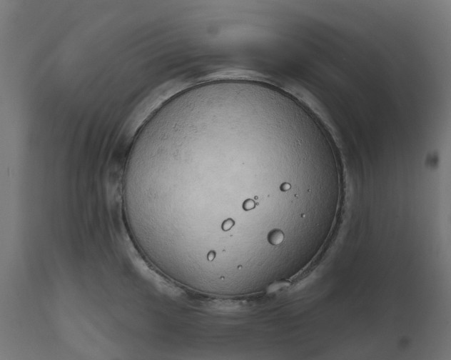X0000111521049200907281334