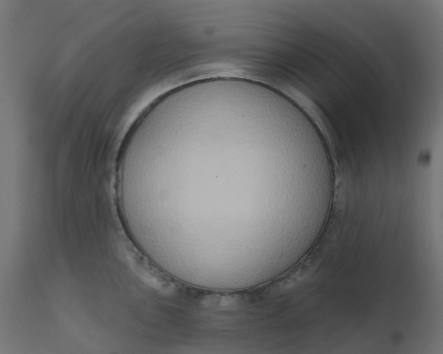 X0000111521051200907281334