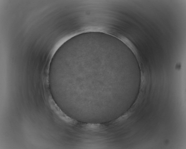 X0000111521052200907281334