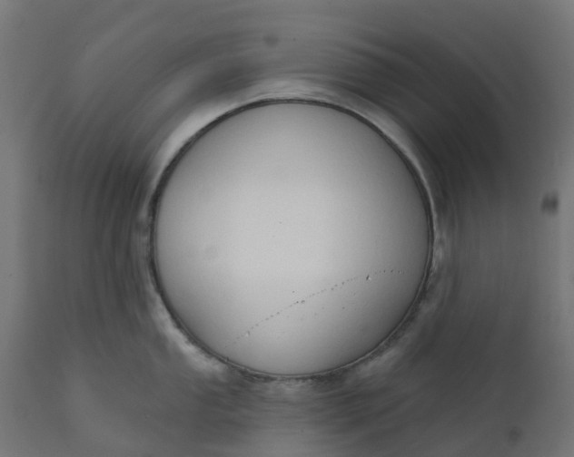 X0000111521053200907281334