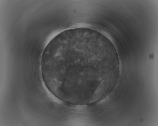 X0000111521055200907281334