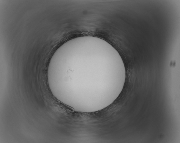 X0000111521057200907281333