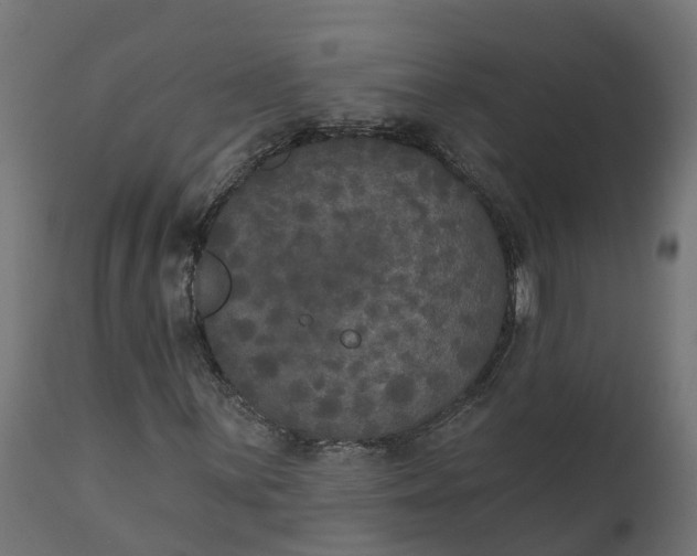 X0000111521059200907281333
