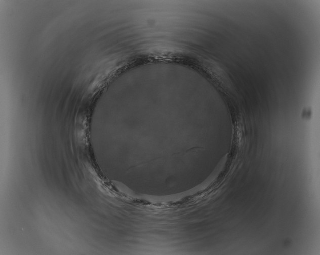 X0000111521060200907281333