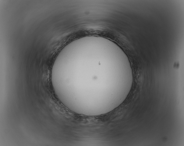 X0000111521061200907281333