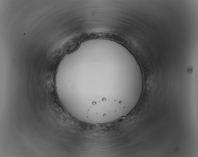 X0000111521062200907281333