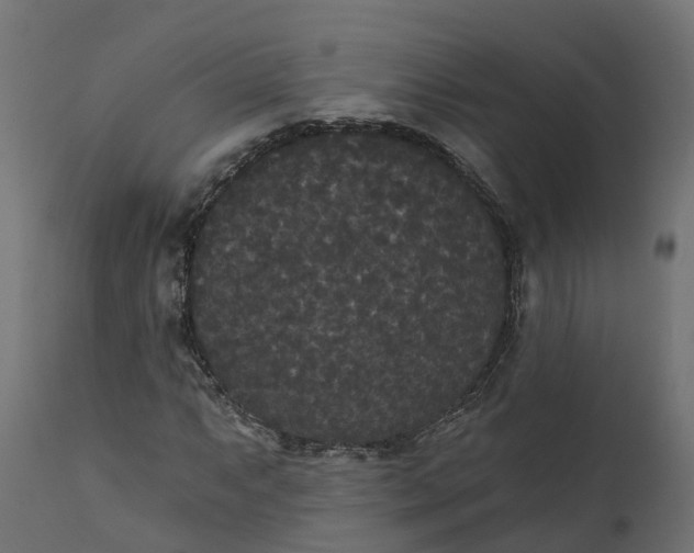 X0000111521063200907281333