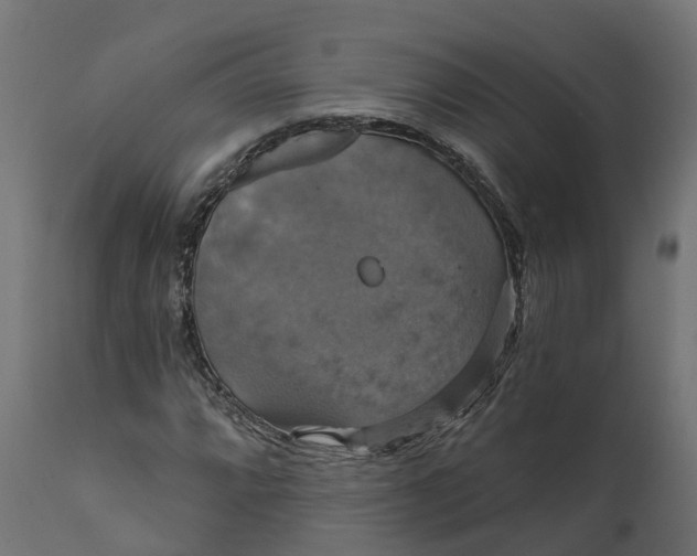 X0000111521064200907281333